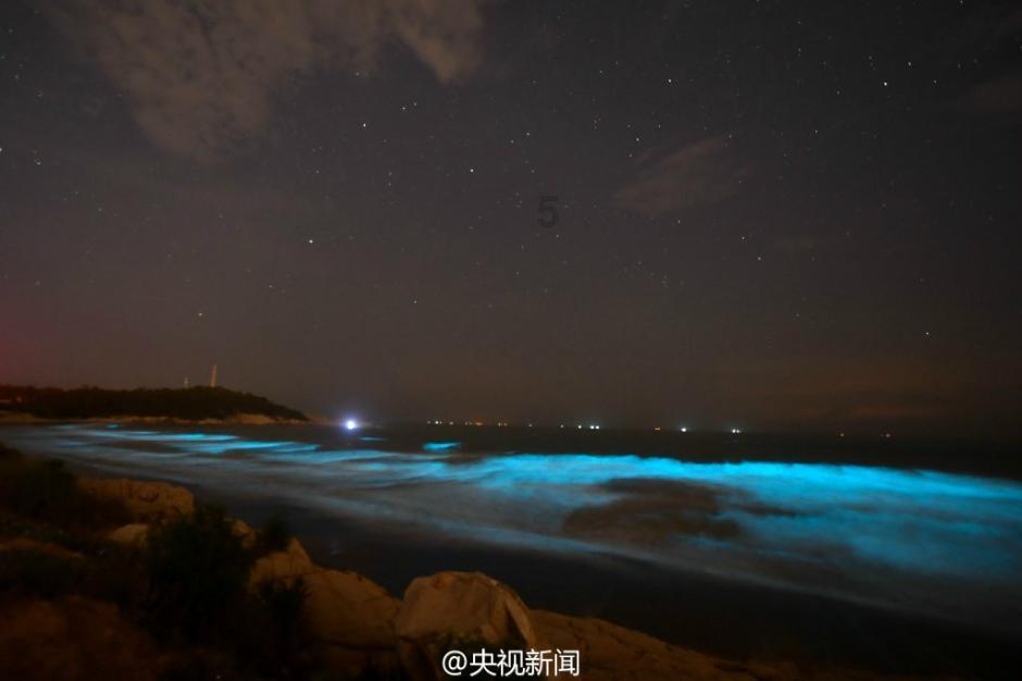 婚庆公司自作聪明，网购产品申请退货，被法院判决处理